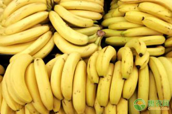 香蕉的食用功效