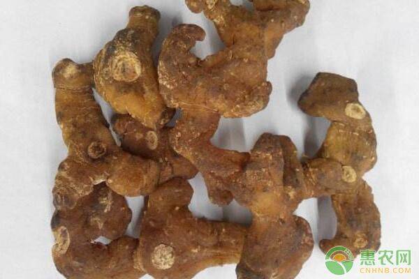 黄精市场价多少钱一斤？黄精泡水有什么功效？