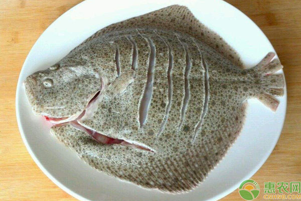 多宝鱼撕皮