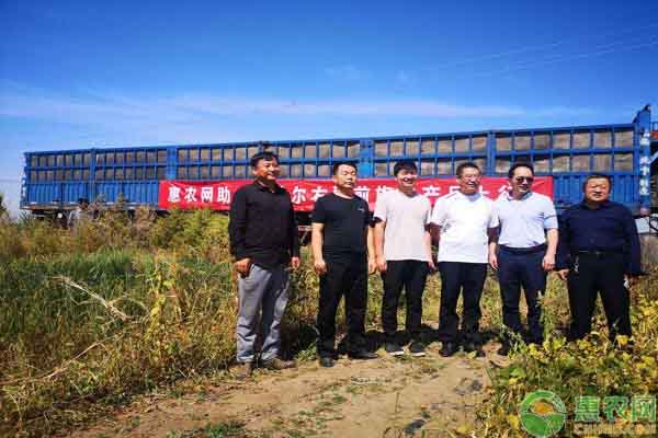 积极推动特色农产品产业升级，惠农网团队助力察右前旗建立专业化品牌