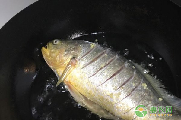 冻鲜黄花鱼多少钱一斤？如何做冻鲜黄花鱼好吃？