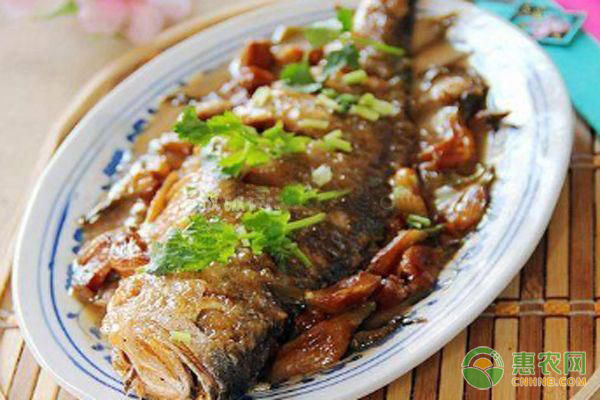 冻大黄花鱼多少钱一斤？