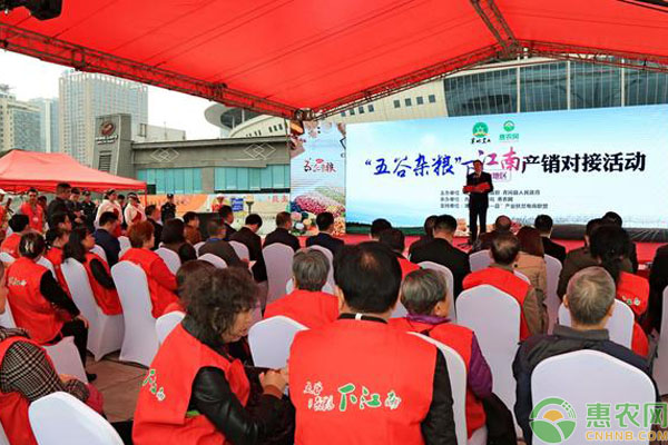 惠农网团队助推绥化绿色农产品，参与承办“五谷杂粮”下江南活动！
