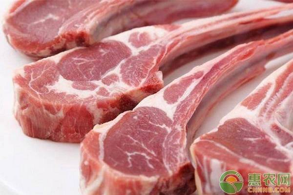 10月全国羊肉价格最新行情预测及分析