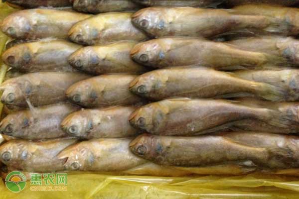冷冻小黄鱼怎么解冻?