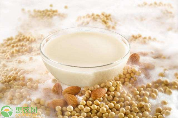 毛豆浆的营养价值