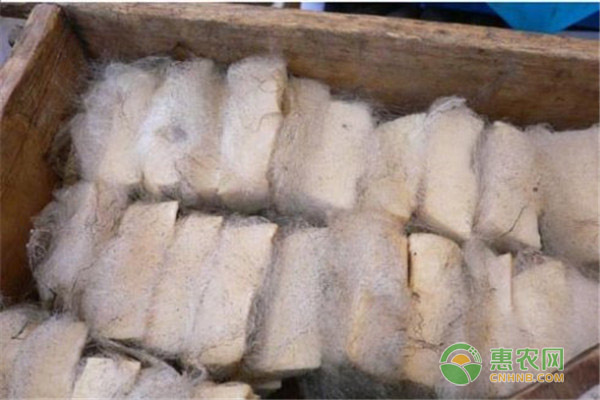 毛豆腐的营养价值有哪些？毛豆腐的功效与作用