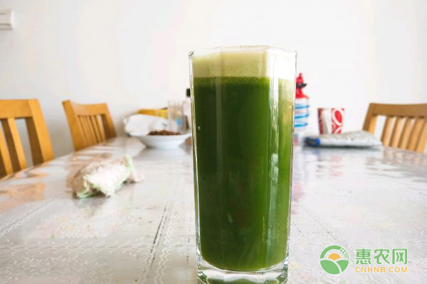 芹菜苦瓜青瓜汁的功效与作用，能减肥还可美白！