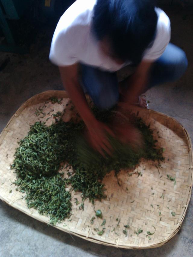 普洱饼茶 盒装 特级 