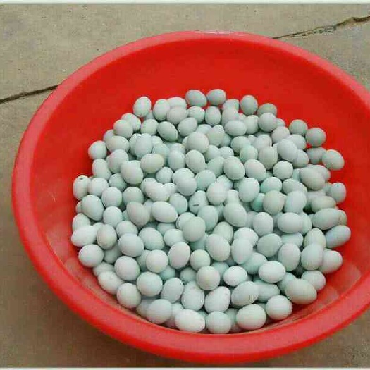 茶陵县乌鸡蛋 食用 箱装