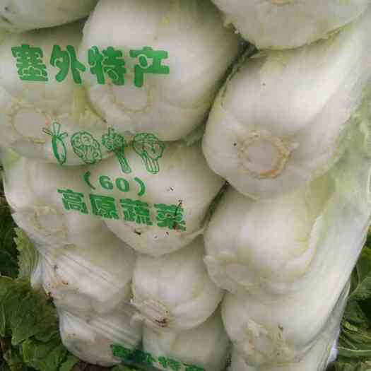 嘉鱼县黄心大白菜 3~6斤 净菜