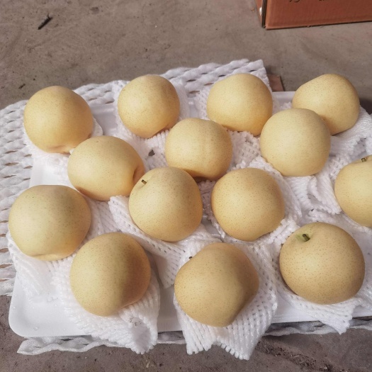 精品皇冠梨海量货源，物美价廉，框装，纸箱应有尽有，请联系我。