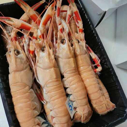 北海鳌虾 海龙虾刺身拼盘优质食材