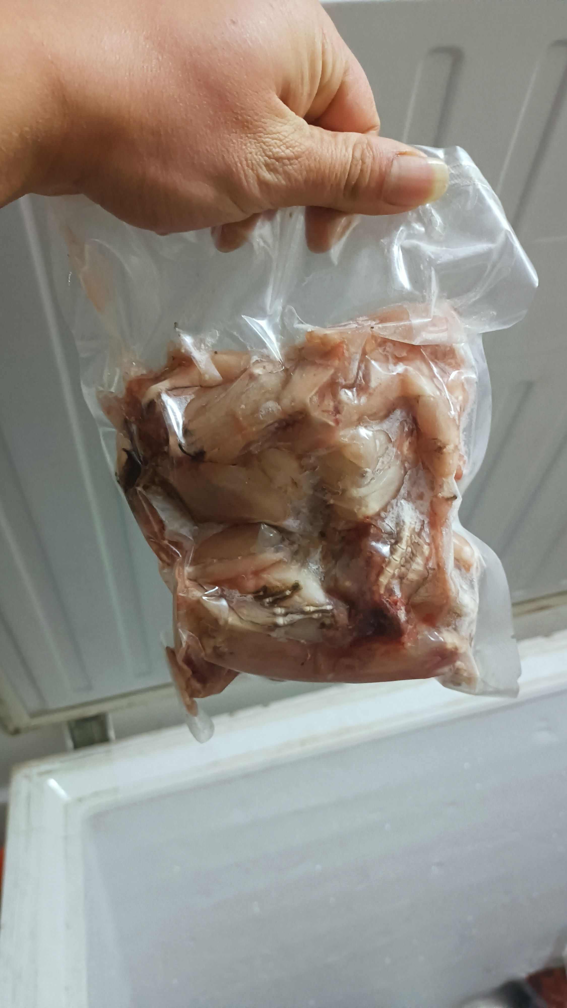 牛蛙无冰无水量大可议价