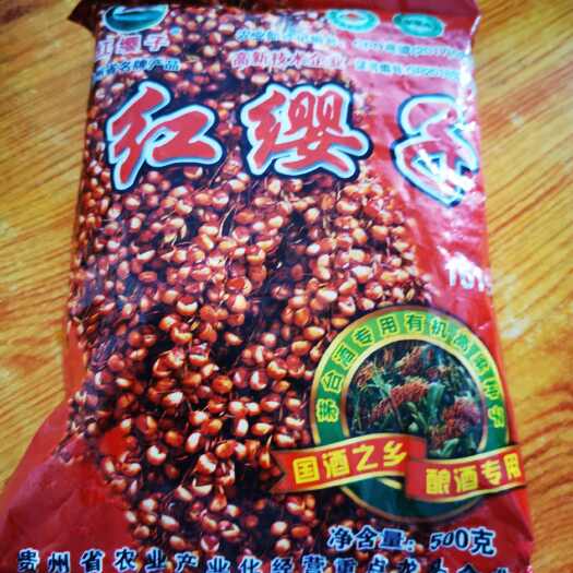 仁怀市红缨子 高粱种子