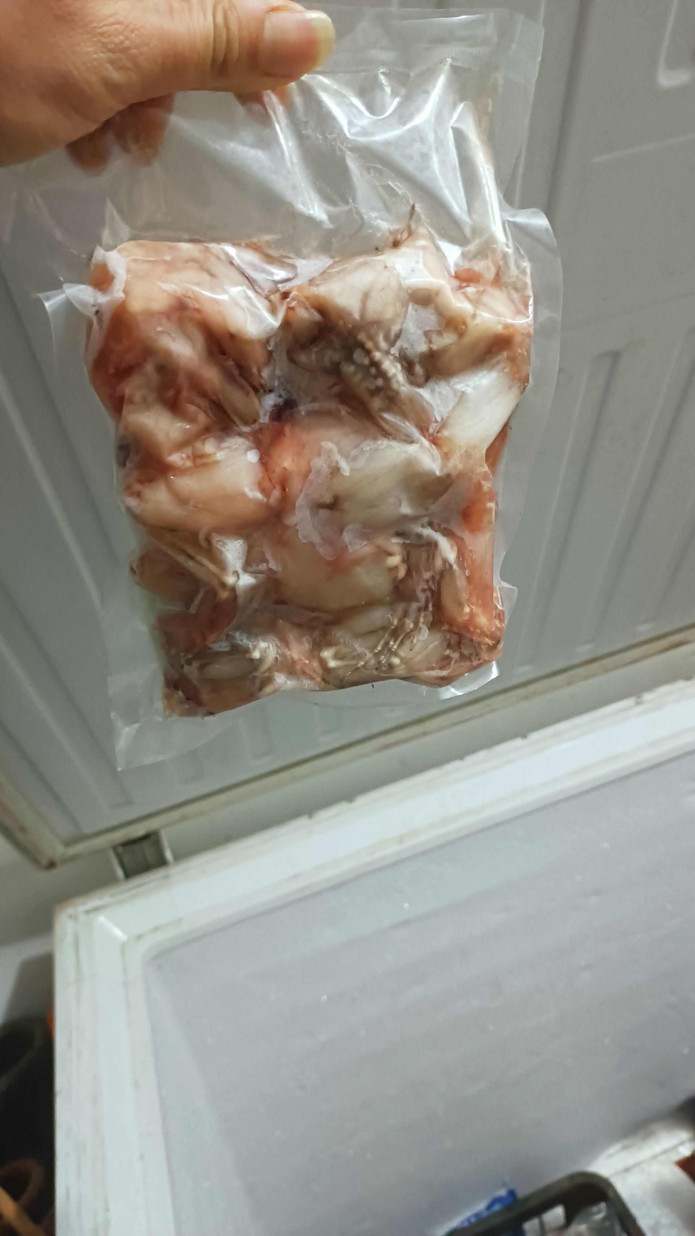 牛蛙无冰无水量大可议价