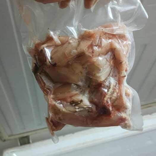 昆明牛蛙无冰无水量大可议价