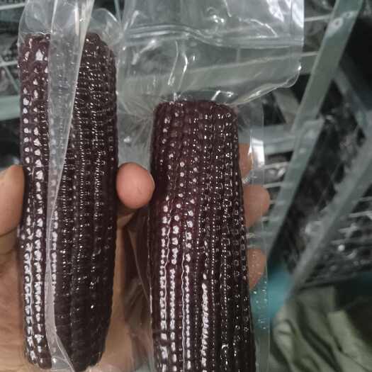 前郭县糯玉米