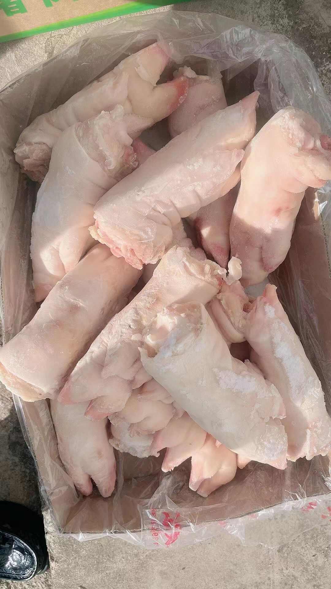 猪蹄