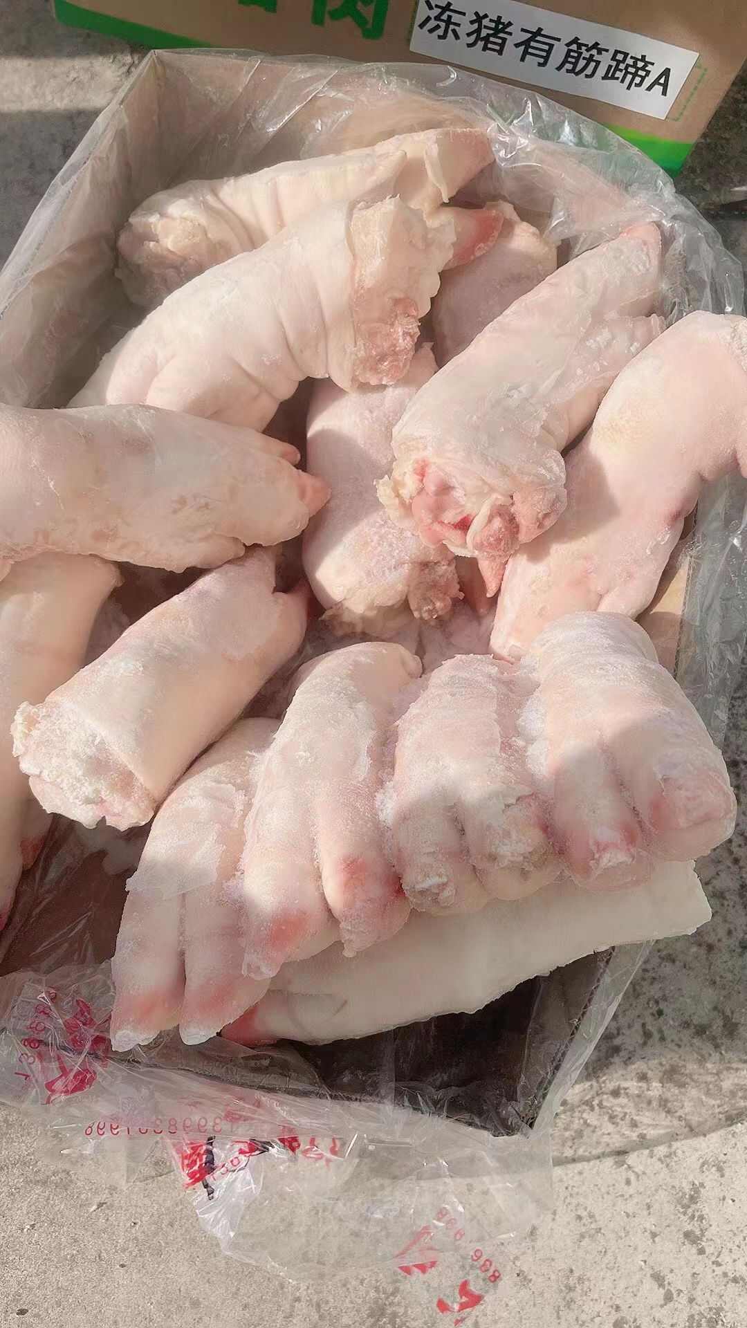 猪蹄