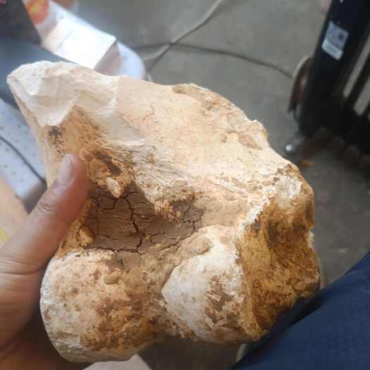 安顺数量不多，全是好品质