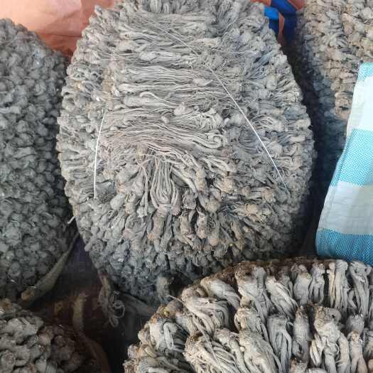 宕昌县当归千年药库产区自产自销产地直发一首货源