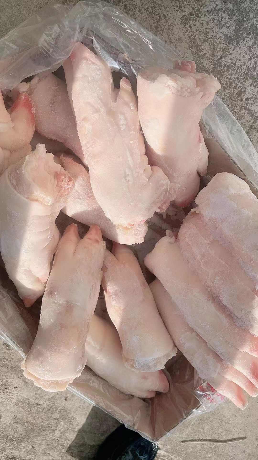 猪蹄