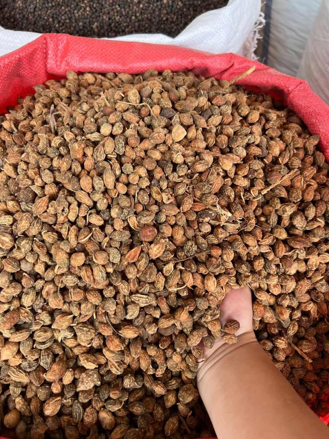 新货益智仁中药材正品泡水海南益智仁泡茶无硫益智仁养生补品肾强