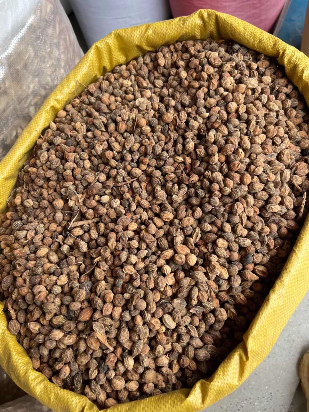 新货益智仁中药材正品泡水海南益智仁泡茶无硫益智仁养生补品肾强