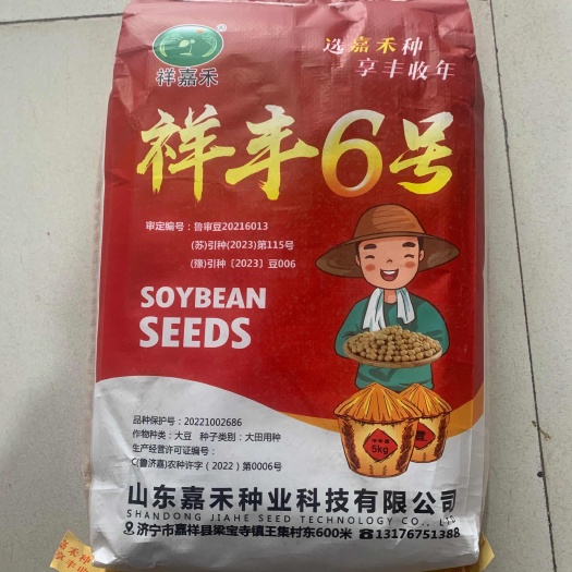 宿迁祥丰6号黄豆种子抗病丰产大豆种子农家大田基地春夏秋季黄豆种子