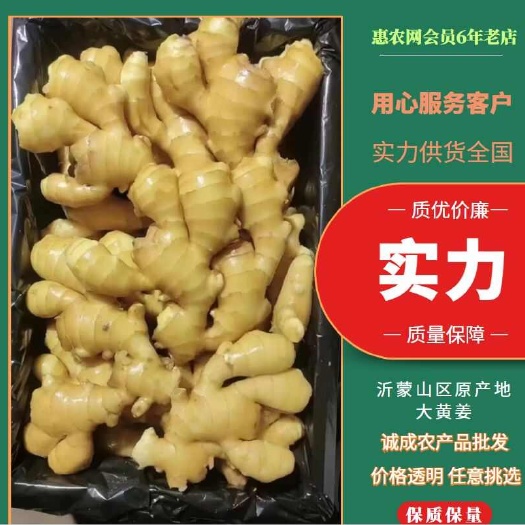 生姜山东生姜大量上市，价格便宜质量保证，产地批发，欢迎选购！