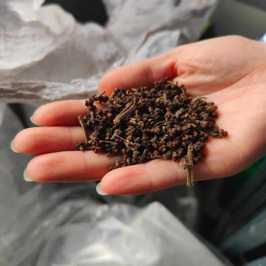 六安吴茱萸