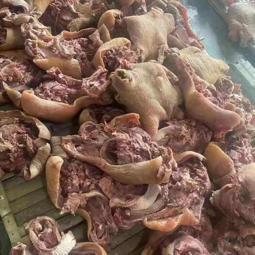 牛副产品 熟牛头肉.全熟熟牛肉，去淋巴去喉头