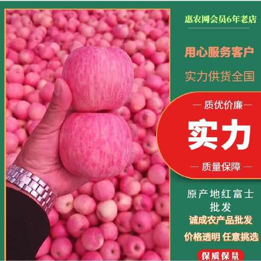 沂水县苹果冷库红富士苹果上市，条红，片红等大量供应！产地直销！