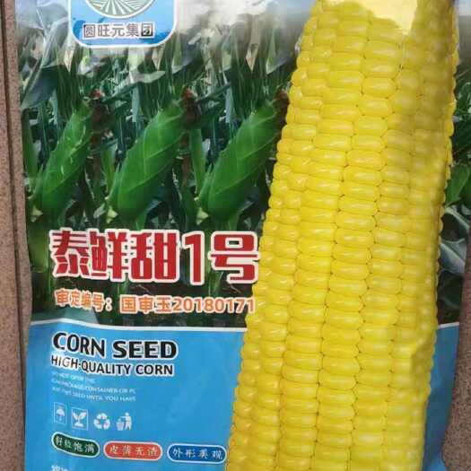 东方市泰鲜甜1号2号甜玉米种子，产量高，品质好，被收购商和种植