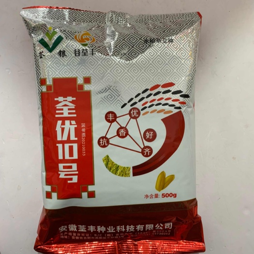 荃优10号水稻种子抗病抗倒伏杂交水稻种子大穗大粒春夏季稻谷种