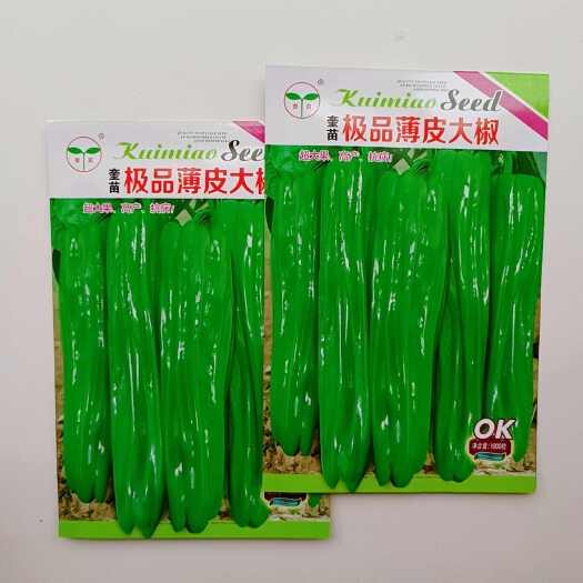 沭阳县辣椒种子奎苗薄皮大椒种子早熟大果薄皮微辣泡椒种籽春秋种植抗病