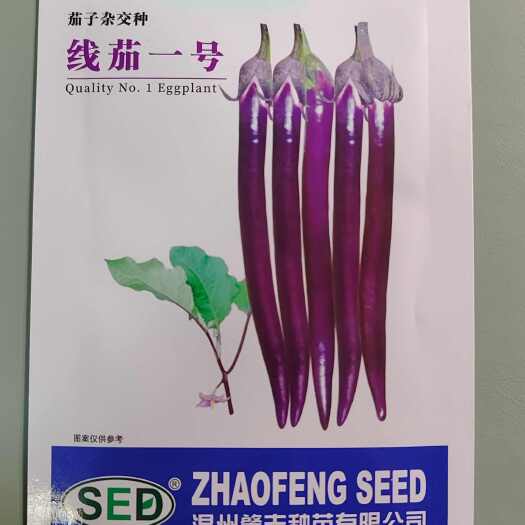 宜城市温州肇丰种苗有限公司线茄一号种子 线茄种子 深紫红透亮 现货