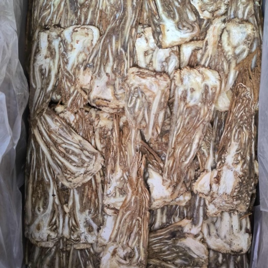 临洮县有硫当归佛手中芯片／黄当归佛手大片