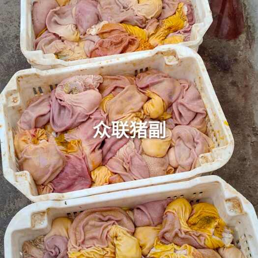 郑州鲜猪肚
