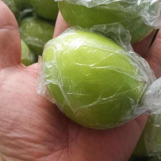 平南县广西蜜丝枣，源头直供，大量现货。