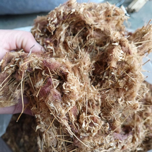 合欢花非人工种植产地批发