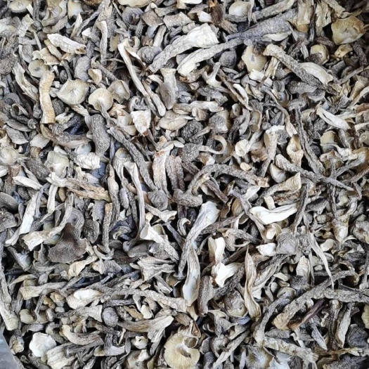 古田县鹿茸菇碎菇，产地直发，很有性价比