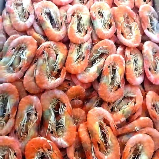 滨州大对湿虾，渤海特产，味美咸香