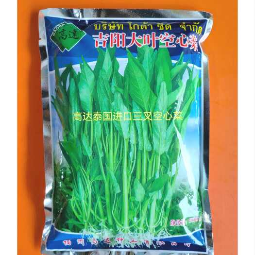 樟树市福州高达吉阳大叶三叉空心菜种子籽500g