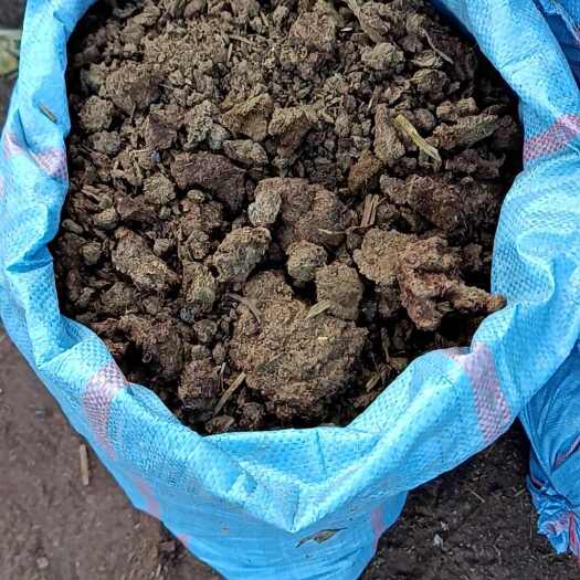 姚安县长期批发纯干牛粪