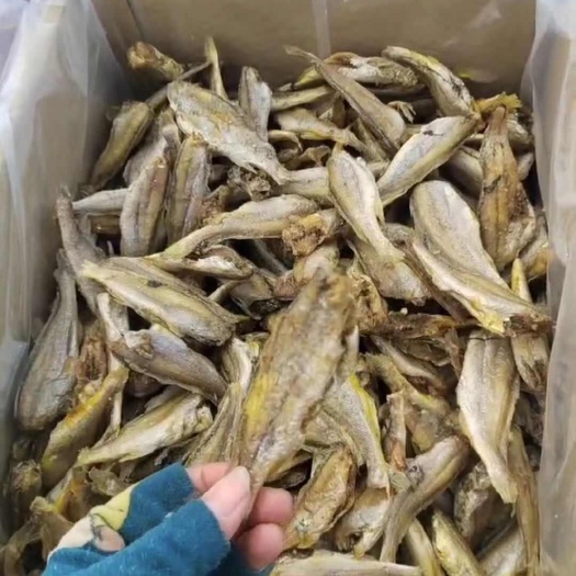 滨州烤鱼，烘干黄花鱼，干脆鲜香，渤海特产，酥脆入骨