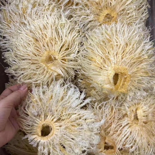 广州大号菊花翅鱼翅