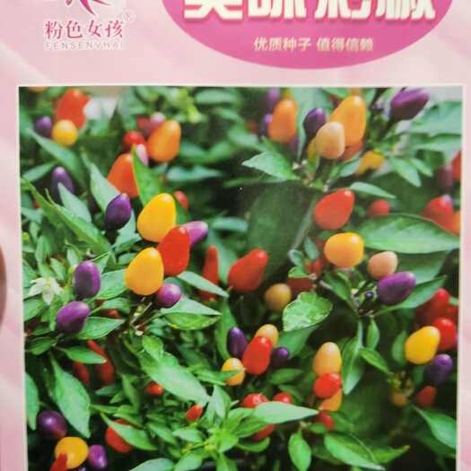 南阳美味彩椒种子 外型美观 食用观赏椒