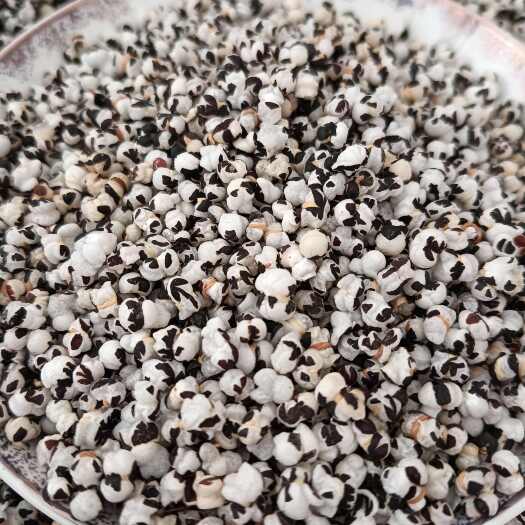 【热卖新品】王不留行 王不留 现货供应 药材批发 量大优惠